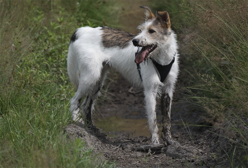 1 -- Emmely Felix SAM_2703 als Smart-Objekt-1 Kopie.jpg - Was muss das muss